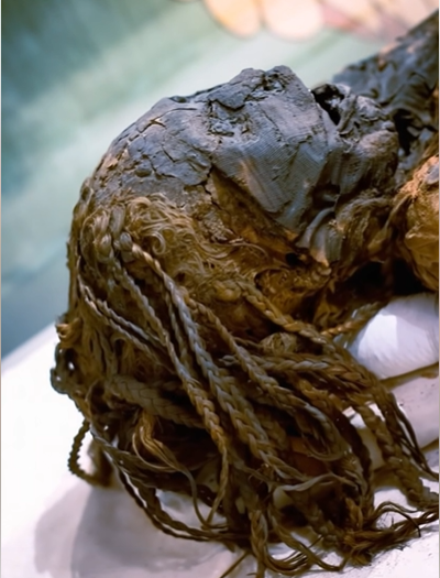 Frozen in Time? DNA Surprise Links Ancient Mummy to Modern-Era Mystery Woman!