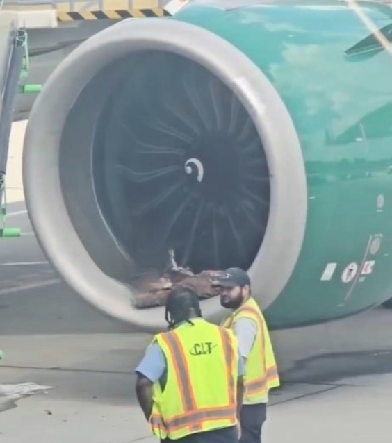 Unexpected Incident at Charlotte Airport Involving Frontier Airlines Aircraft Leads to Major Delays