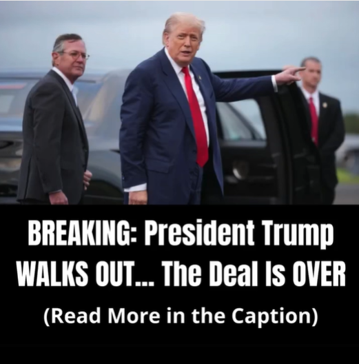 Liberals Whine About Trump’s ‘Historic’ Trade Deal With European Union