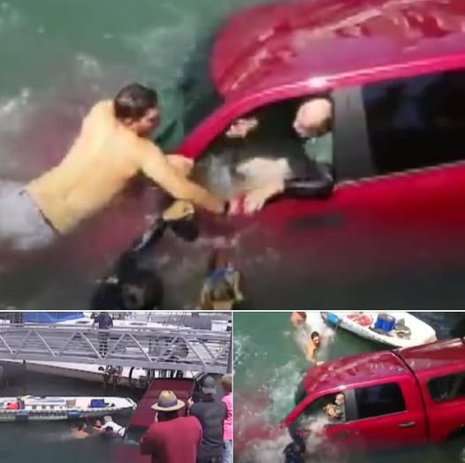 Good Samaritans Restored Faith In Humanity By Rescuing Drowning Elders And Their Pet Chihuahua