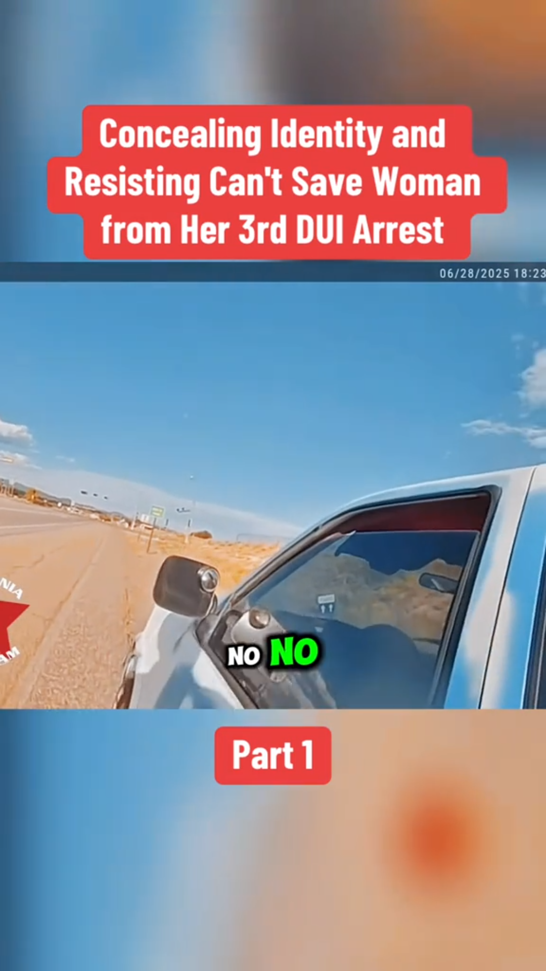 Concealing Her Identity and Resisting Couldn’t Save Her From a Third DUI Arrest