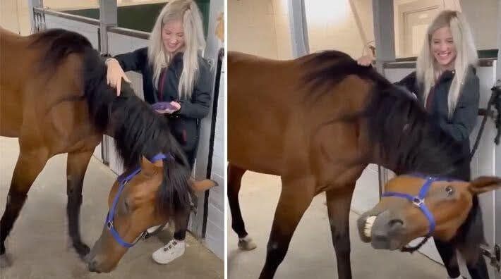 Young woman was hospitalized after being penetrated…See more